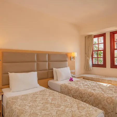 Hotell Alize 4*