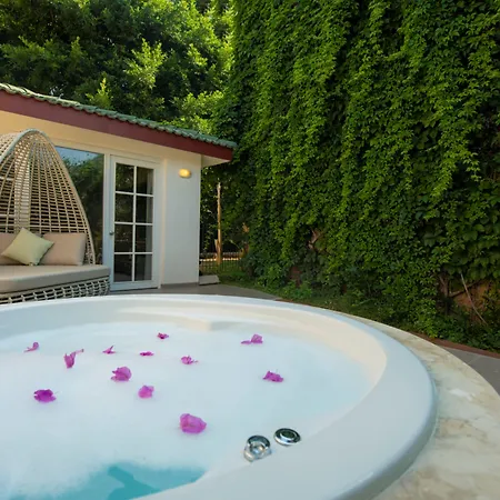 Hotel Alize